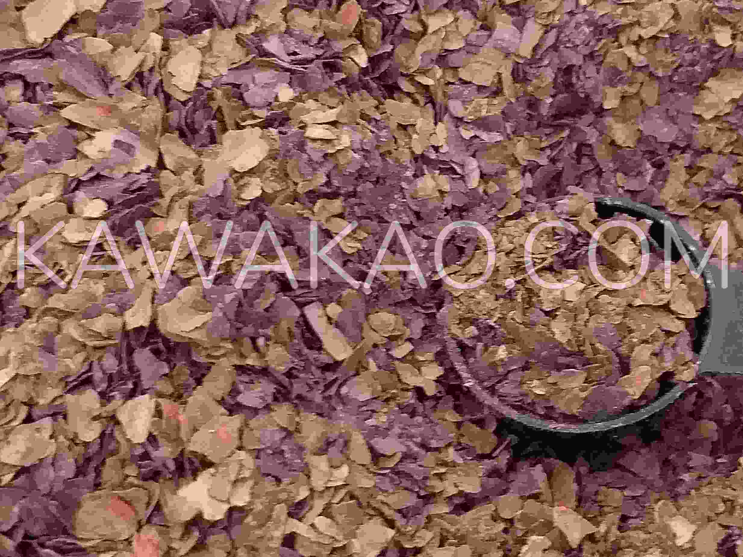 Cosses de cacao torréfiées prêtes à être infusées