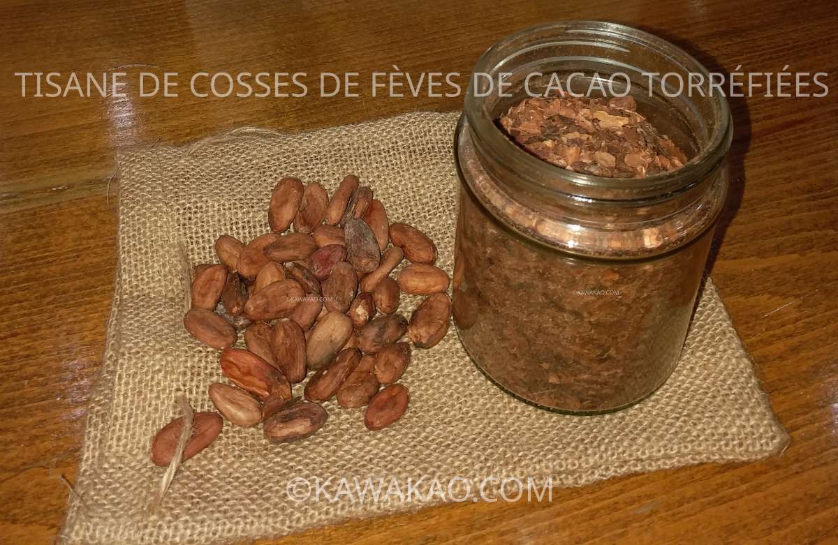 Cosses de cacao torréfiées pour tisane de cacao